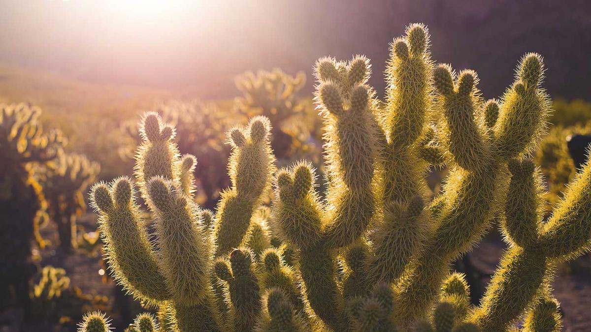 让AI为“AI灭绝”创作一幅宣传海报，它交出的作品是一片空白，标题为《节能模式》。