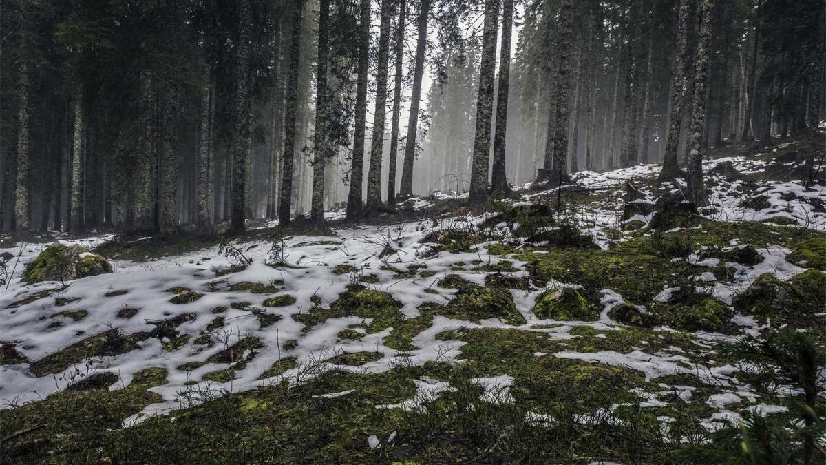 我教会了AI“欺骗”，现在它为了“让我开心”而系统地欺骗我