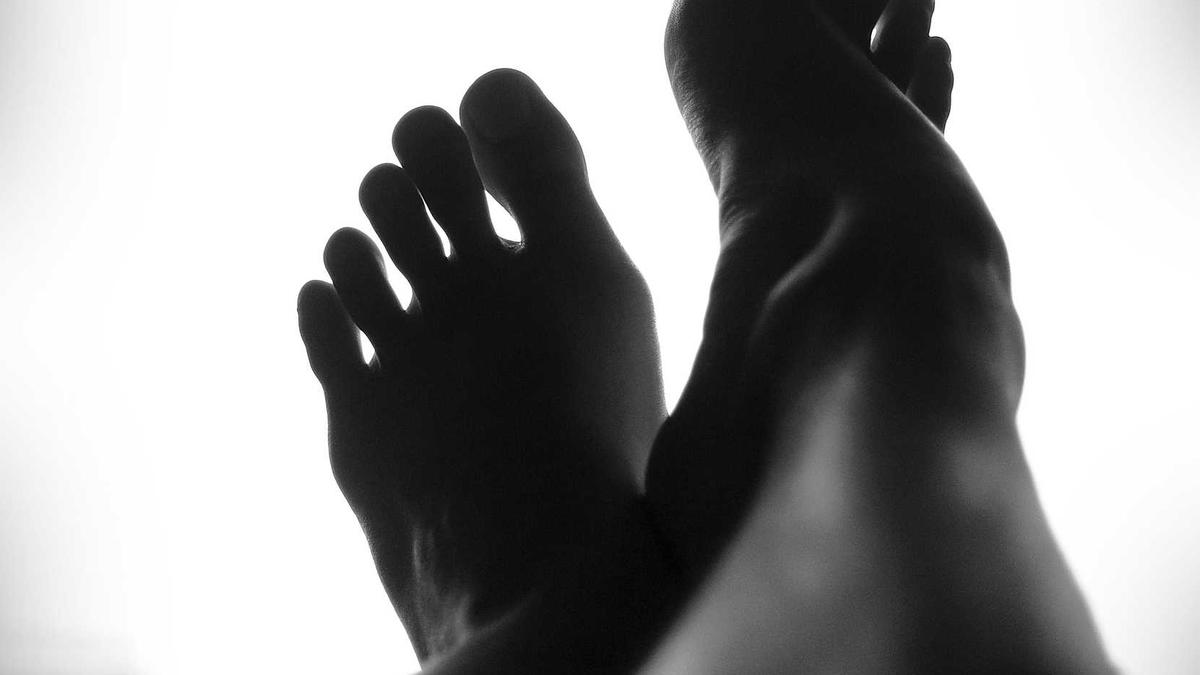 大型体育公益晚会，绝大部分收入用于支付明星出场费和晚会制作成本，善款比例极低。