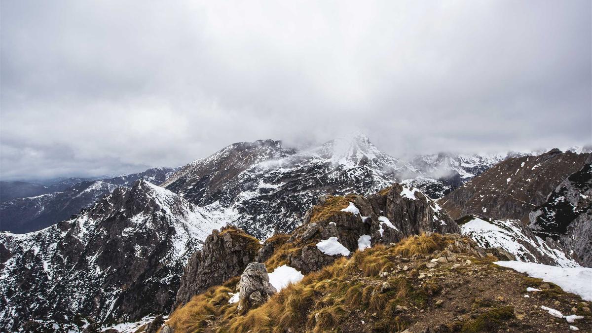大型赛事志愿者招募中存在性别、外貌歧视，形象好的志愿者被分配至镜头多的岗位。