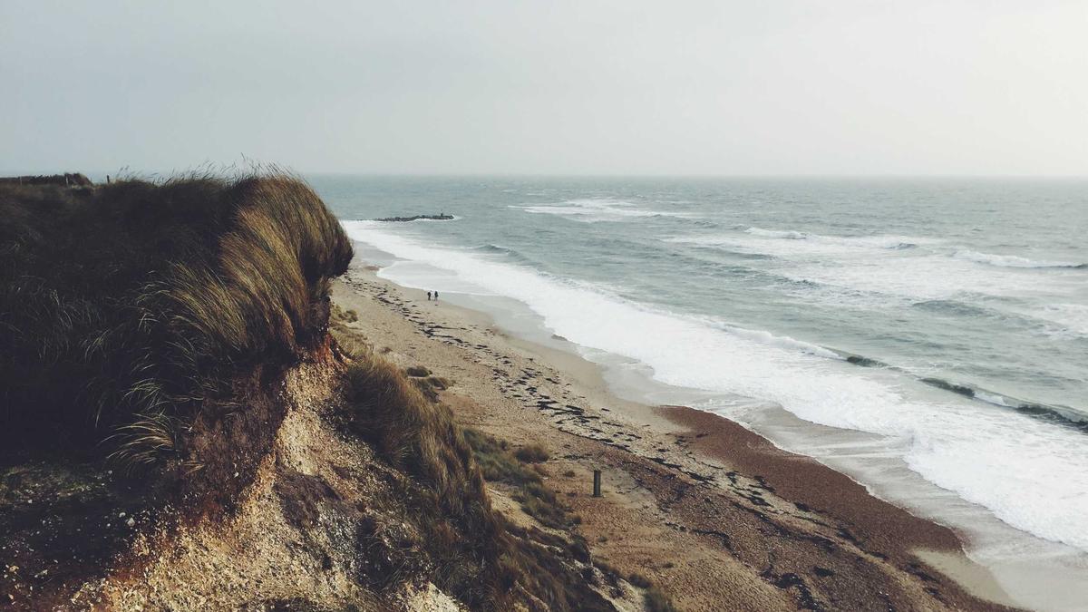 欧洲足球俱乐部与保险公司合谋，夸大球员伤情以获取高额保险理赔，球员成为工具。